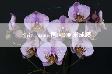 洛阳国内5000米成绩