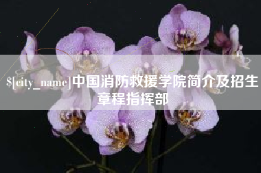 洛阳中国消防救援学院简介及招生章程指挥部