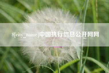 洛阳中国执行信息公开网网
