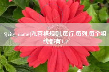 洛阳九宫格规则,每行,每列,每个粗线都有1-9