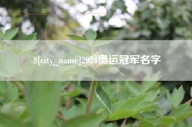 洛阳2024奥运冠军名字