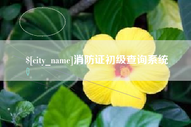洛阳消防证初级查询系统
