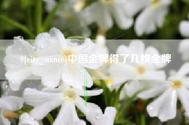 洛阳中国金牌得了几枚金牌