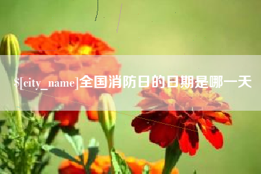 洛阳全国消防日的日期是哪一天