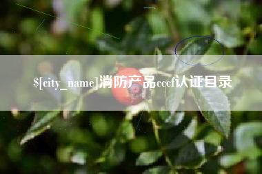 洛阳消防产品cccf认证目录