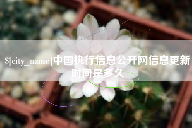 洛阳中国执行信息公开网信息更新时间是多久