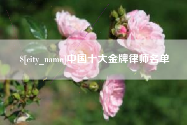 洛阳中国十大金牌律师名单