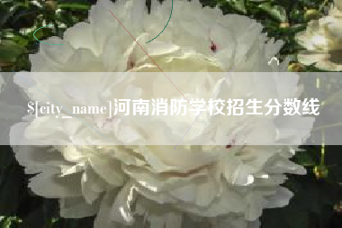 洛阳河南消防学校招生分数线
