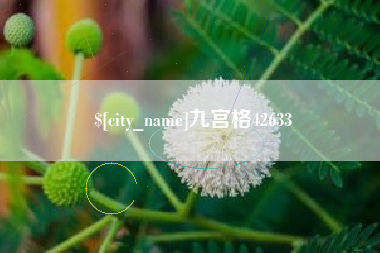 洛阳九宫格42633