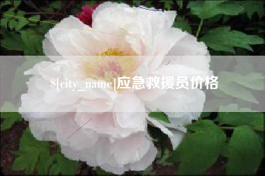 洛阳应急救援员价格
