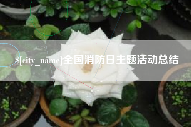 洛阳全国消防日主题活动总结
