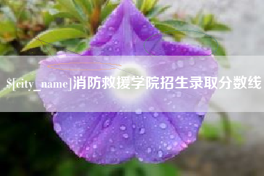 洛阳消防救援学院招生录取分数线