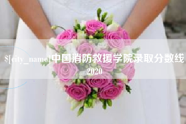 洛阳中国消防救援学院录取分数线2020