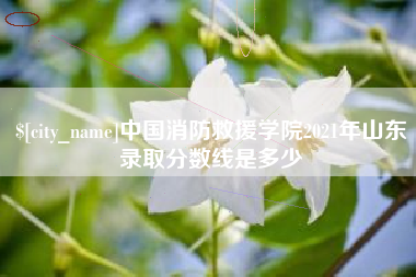 洛阳中国消防救援学院2021年山东录取分数线是多少