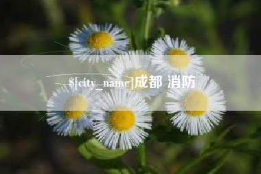 洛阳成都 消防