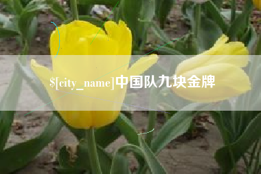 洛阳中国队九块金牌