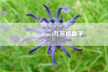 洛阳九宫格盘子