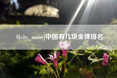 洛阳中国有几块金牌排名