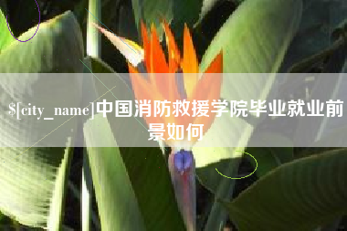 洛阳中国消防救援学院毕业就业前景如何