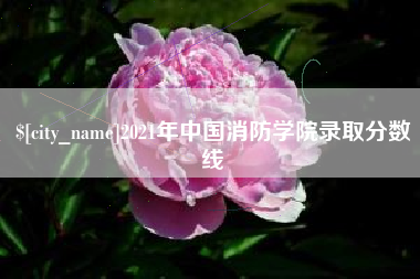洛阳2021年中国消防学院录取分数线