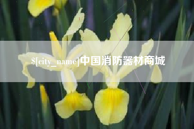 洛阳中国消防器材商城