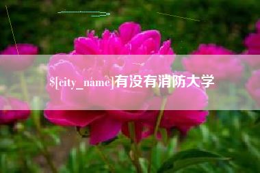 洛阳有没有消防大学