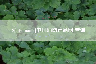 洛阳中国消防产品网 查询