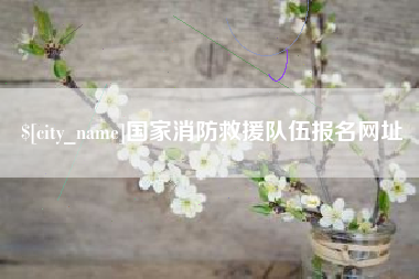 洛阳国家消防救援队伍报名网址