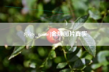 洛阳金牌图片真实