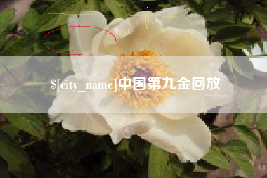 洛阳中国第九金回放