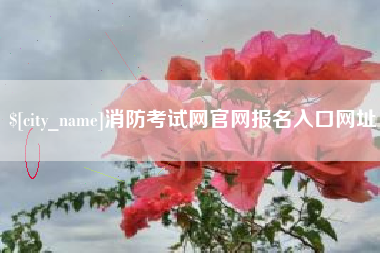 洛阳消防考试网官网报名入口网址