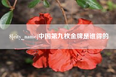洛阳中国第九枚金牌是谁得的