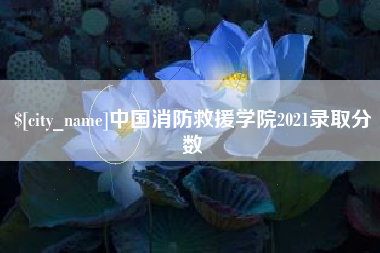洛阳中国消防救援学院2021录取分数