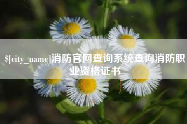 洛阳消防官网查询系统查询消防职业资格证书