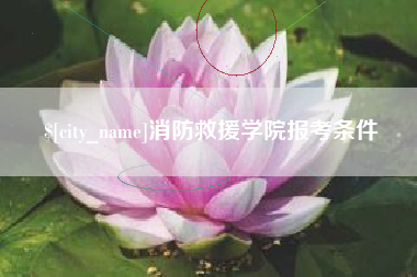 洛阳消防救援学院报考条件