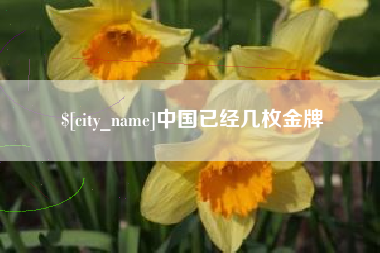 洛阳中国已经几枚金牌