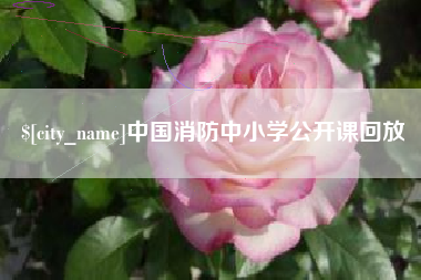 洛阳中国消防中小学公开课回放