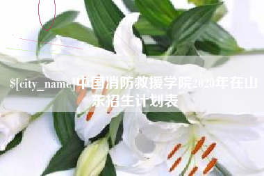 洛阳中国消防救援学院2020年在山东招生计划表