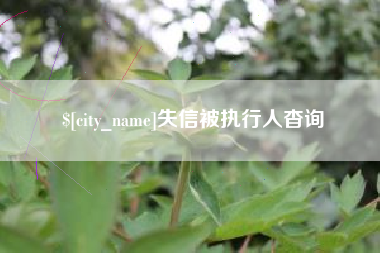 洛阳失信被执行人杳询