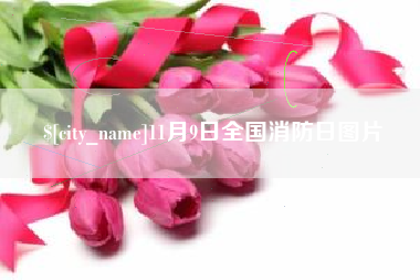 洛阳11月9日全国消防日图片