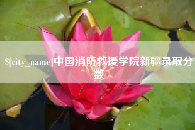 洛阳中国消防救援学院新疆录取分数