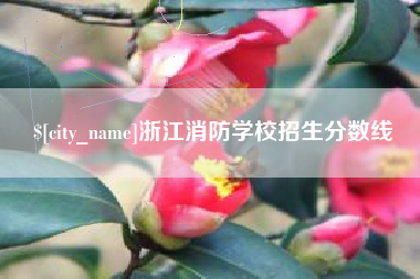 洛阳浙江消防学校招生分数线