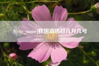 洛阳我国消防日几月几号