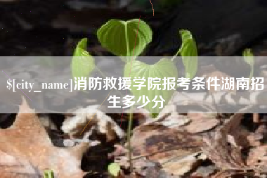 洛阳消防救援学院报考条件湖南招生多少分