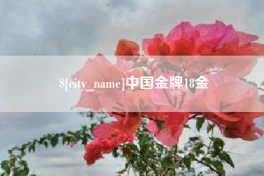 洛阳中国金牌18金