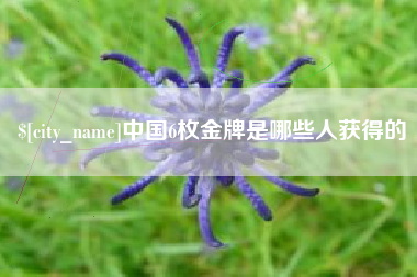 洛阳中国6枚金牌是哪些人获得的