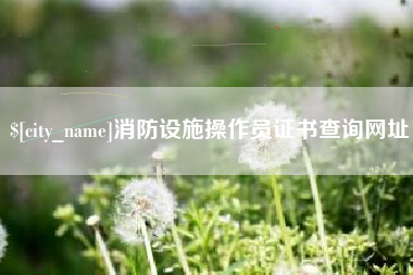 洛阳消防设施操作员证书查询网址