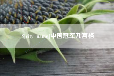 洛阳中国冠军九宫格