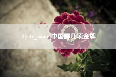 洛阳中国哪几项金牌
