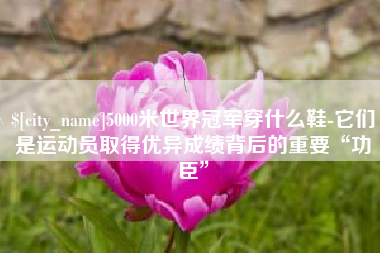 洛阳5000米世界冠军穿什么鞋-它们是运动员取得优异成绩背后的重要“功臣”